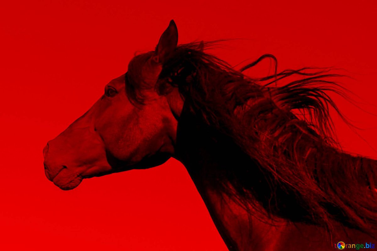 Красная лошадь