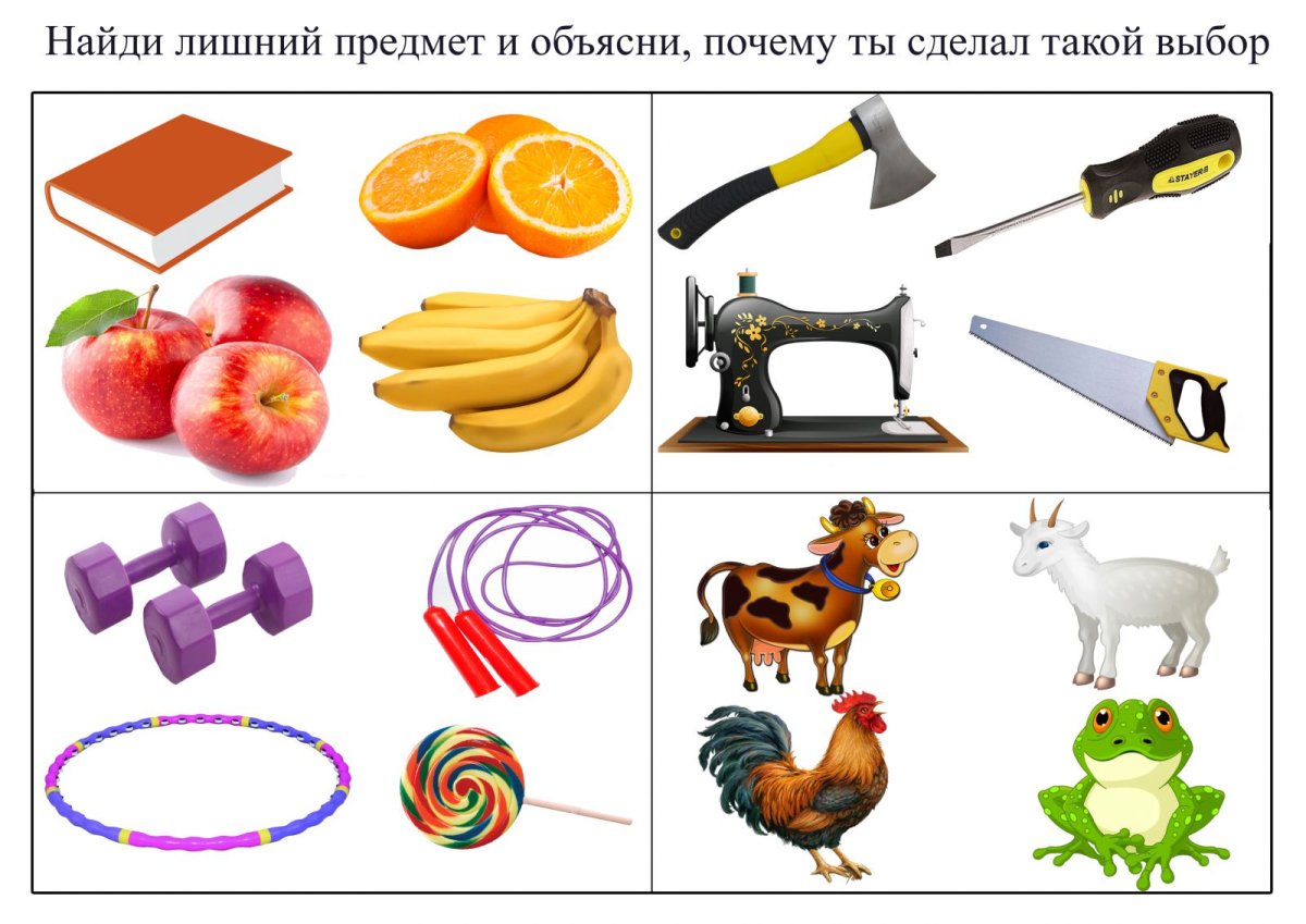 Найди лишний предмет