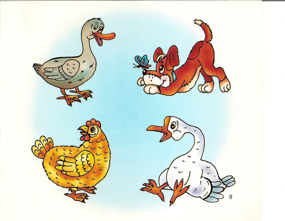 Четвертый лишний