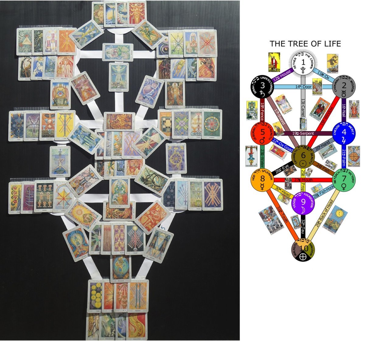Древо Сефирот и арканы Таро