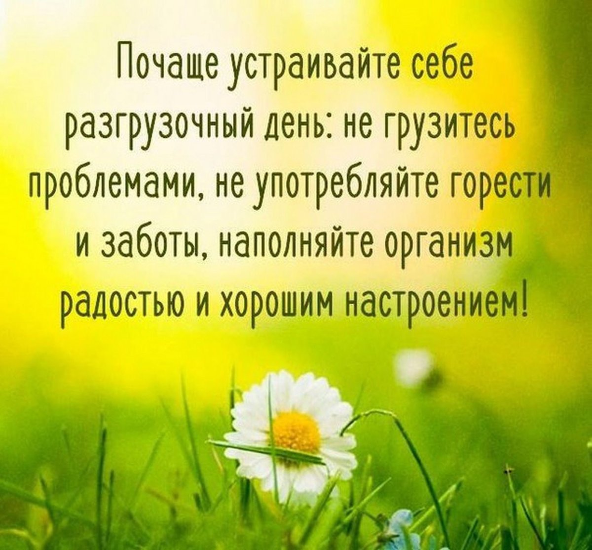 Новый день цитаты