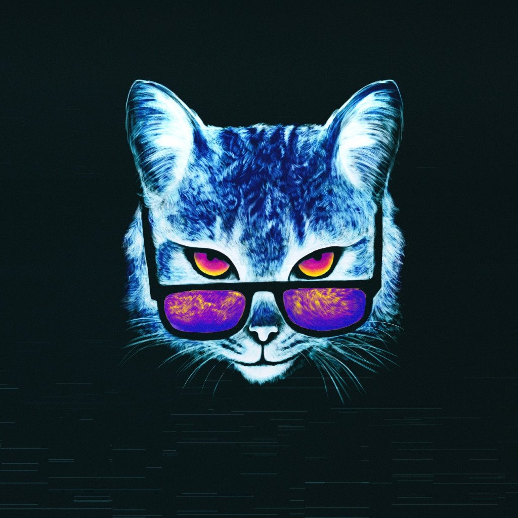 Кот в очках арт