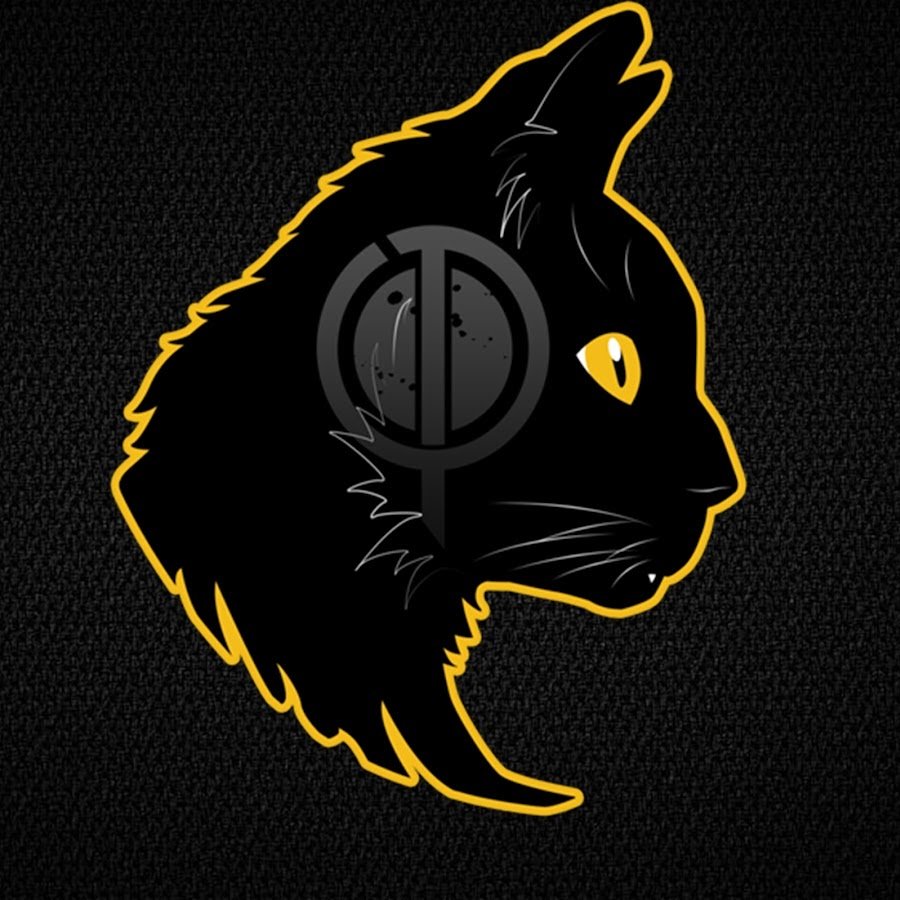 Авы для кс котики