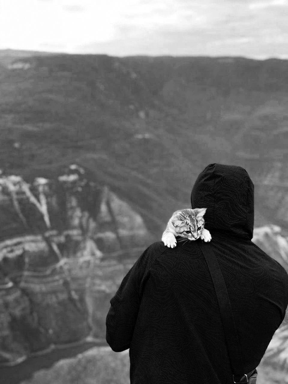 Арабский трап девушки