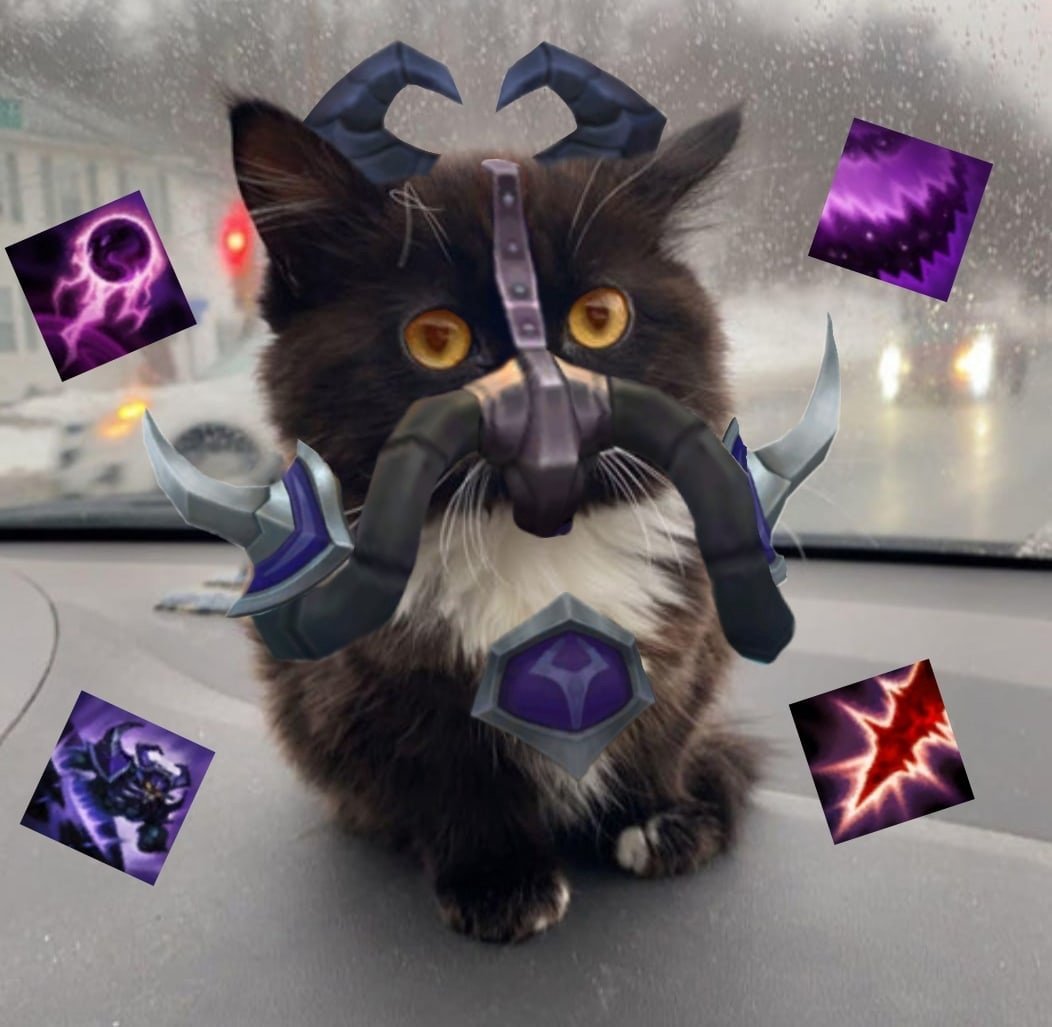 Кот дота 2