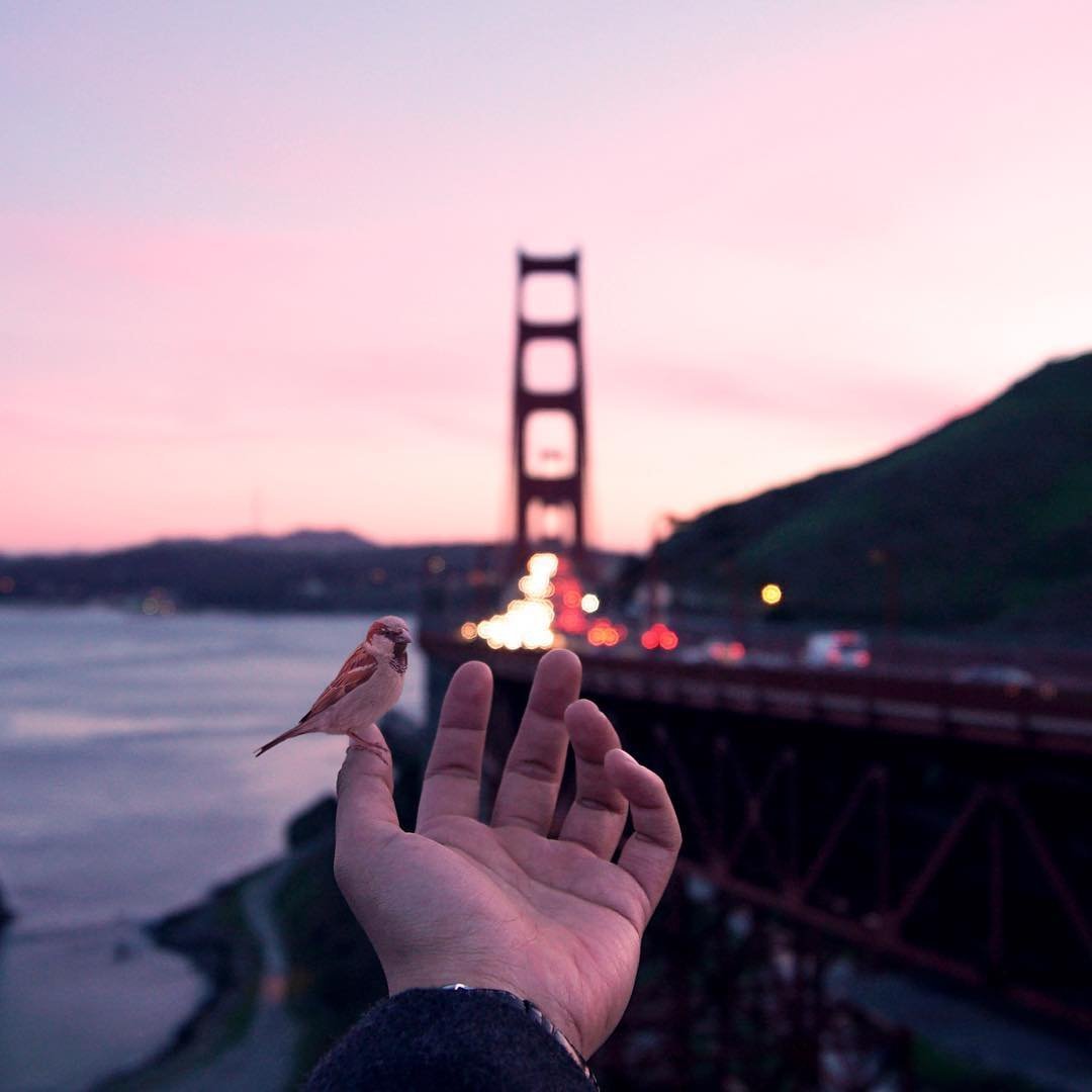 Цените время