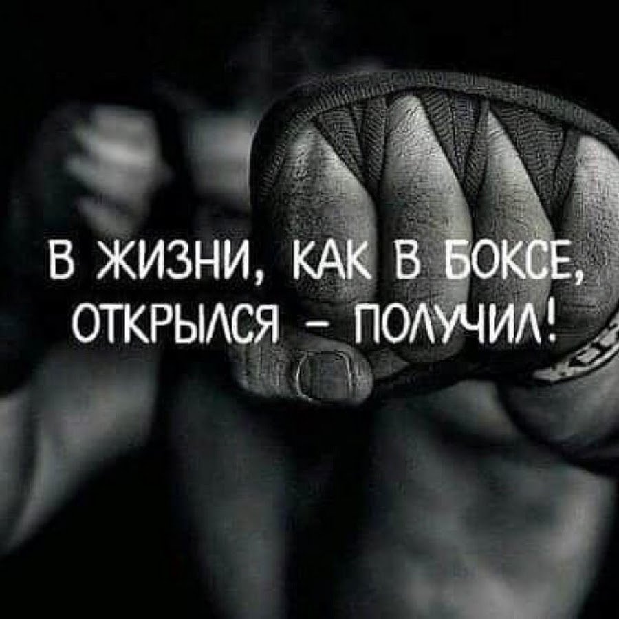 Жизнь летом цитаты