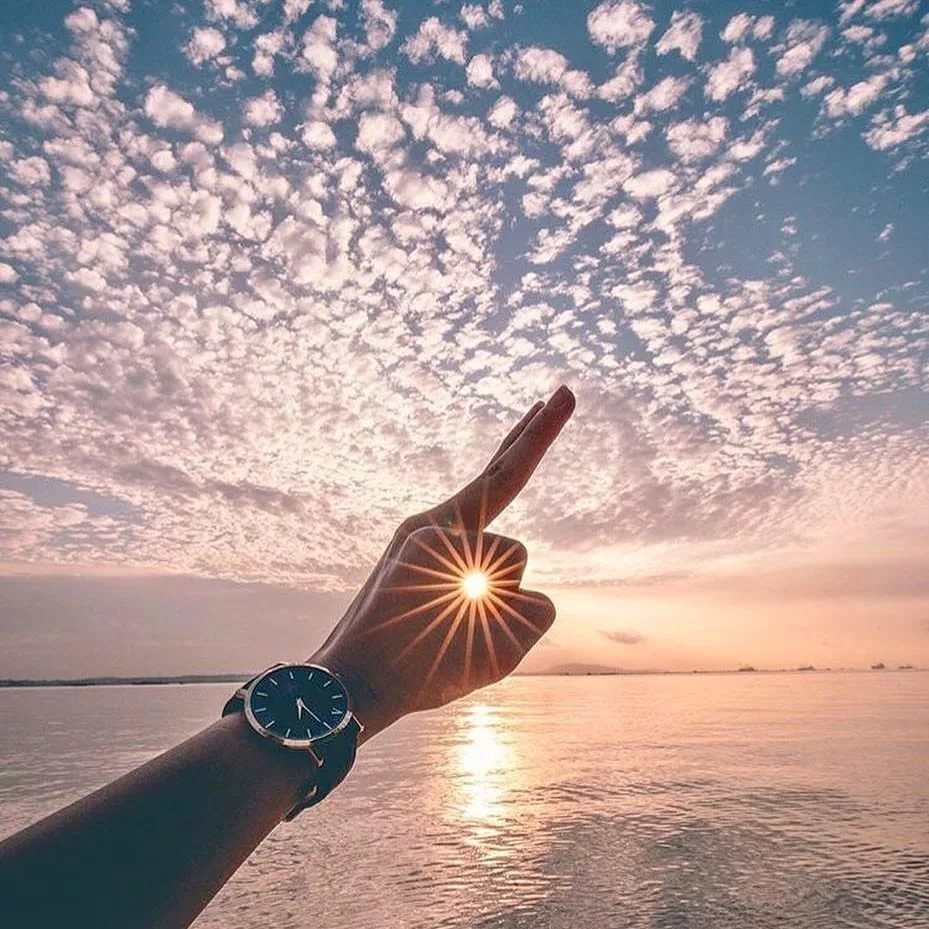 Радость жизни