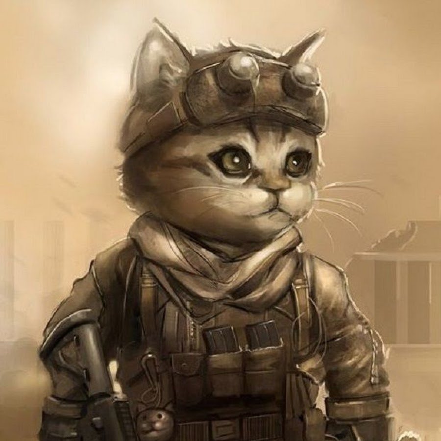 Кот в красной шапке