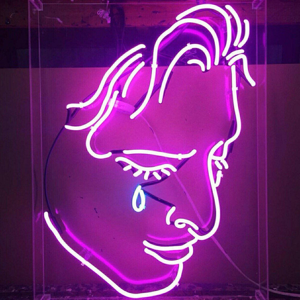 Красивые разноцветные животные