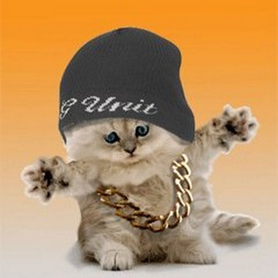 Джотаро Куджо кот ава