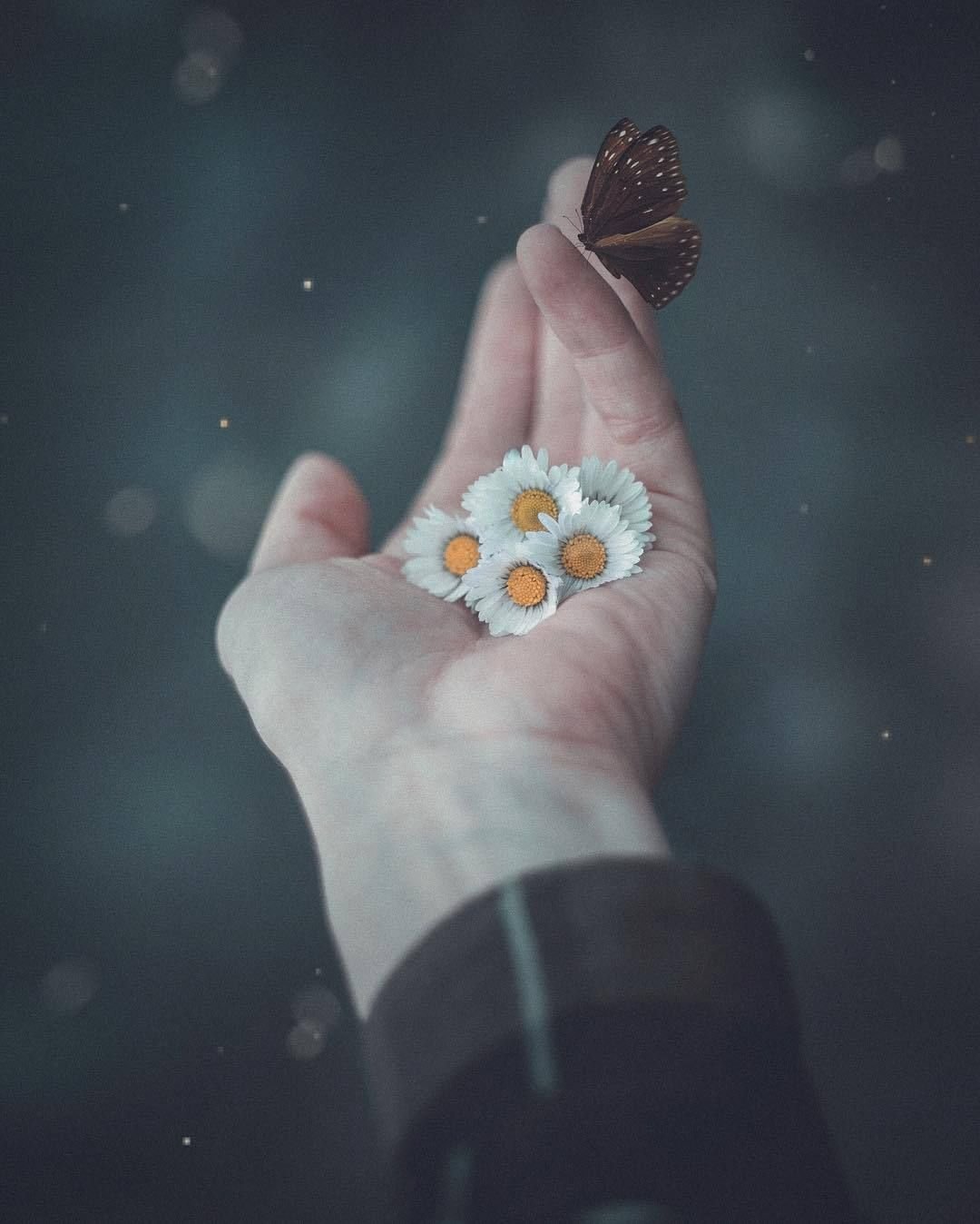 Необычные заставки на экран блокировки