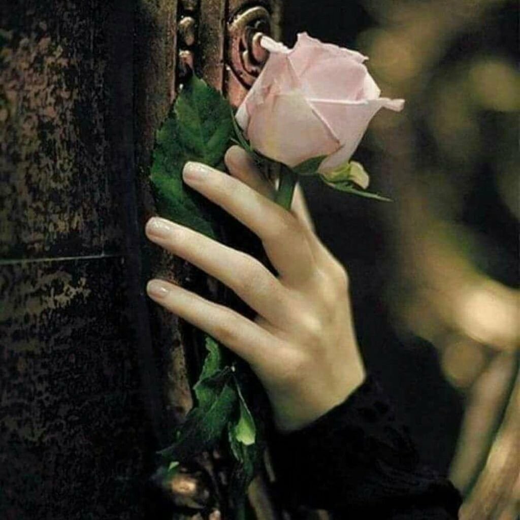 Дарья Солодовникова