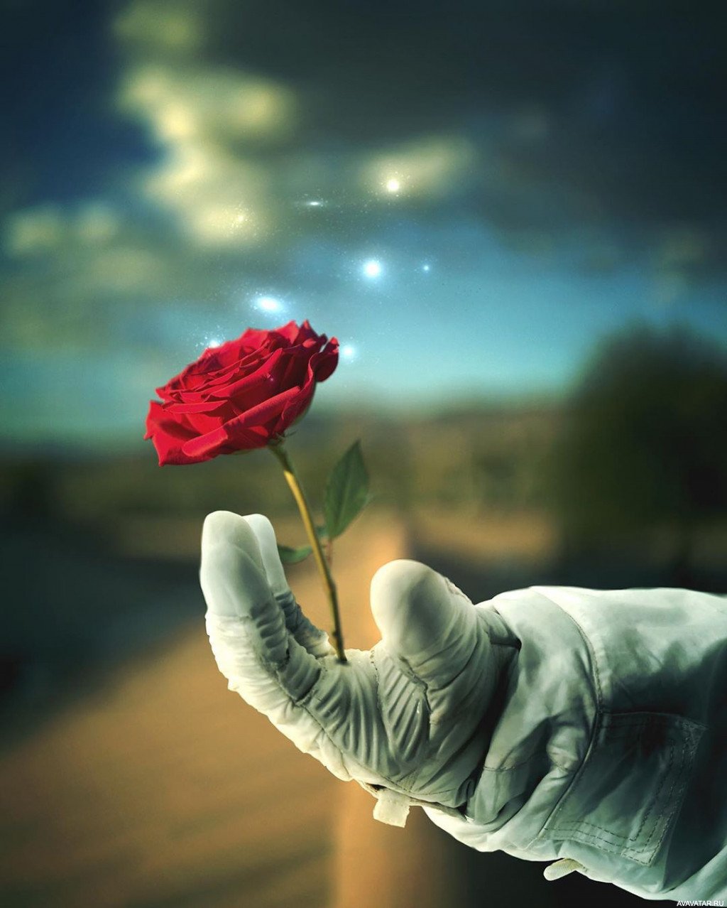 Аватарка роза в руках