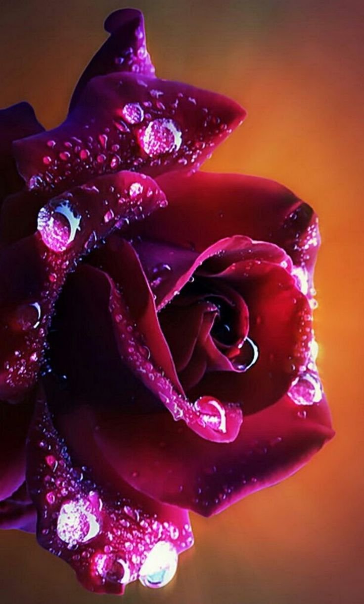 Юлия Балакирева