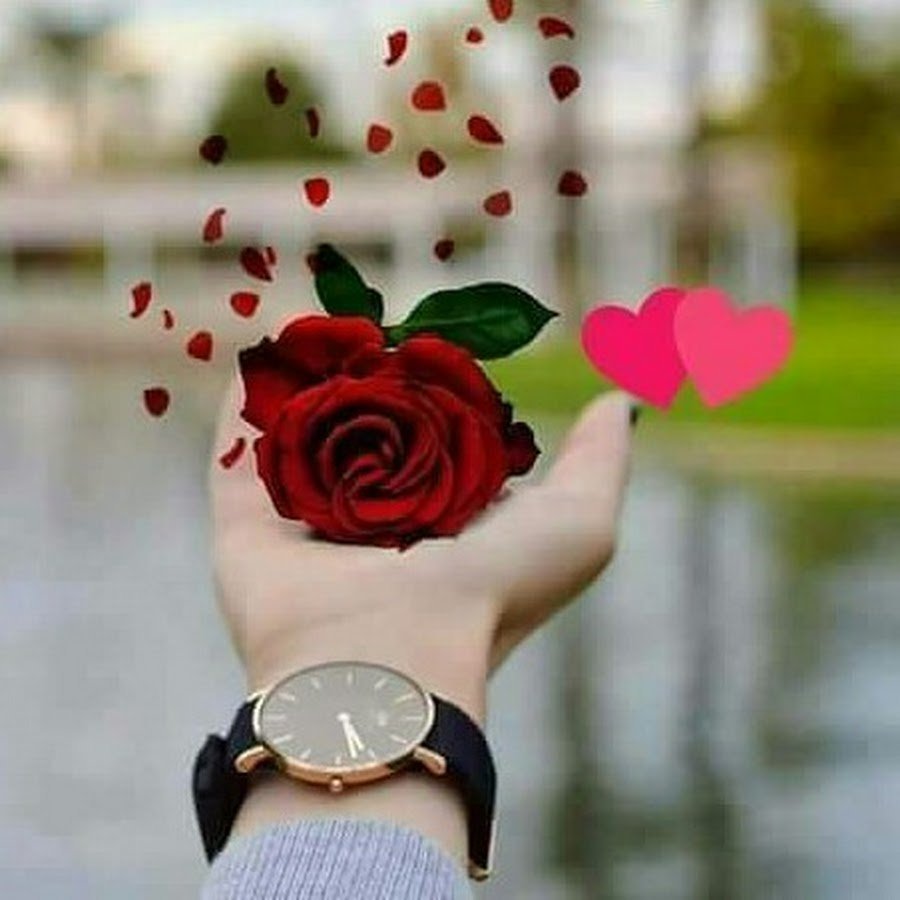 Сурати сердце