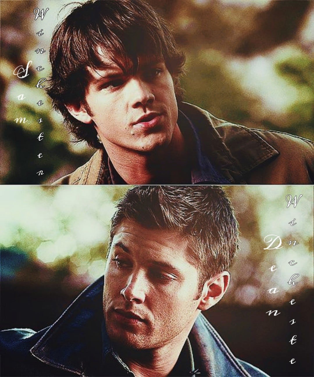 Сэм и Дин Винсент