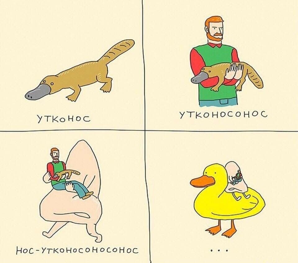 Утконос для детей на прозрачном фоне