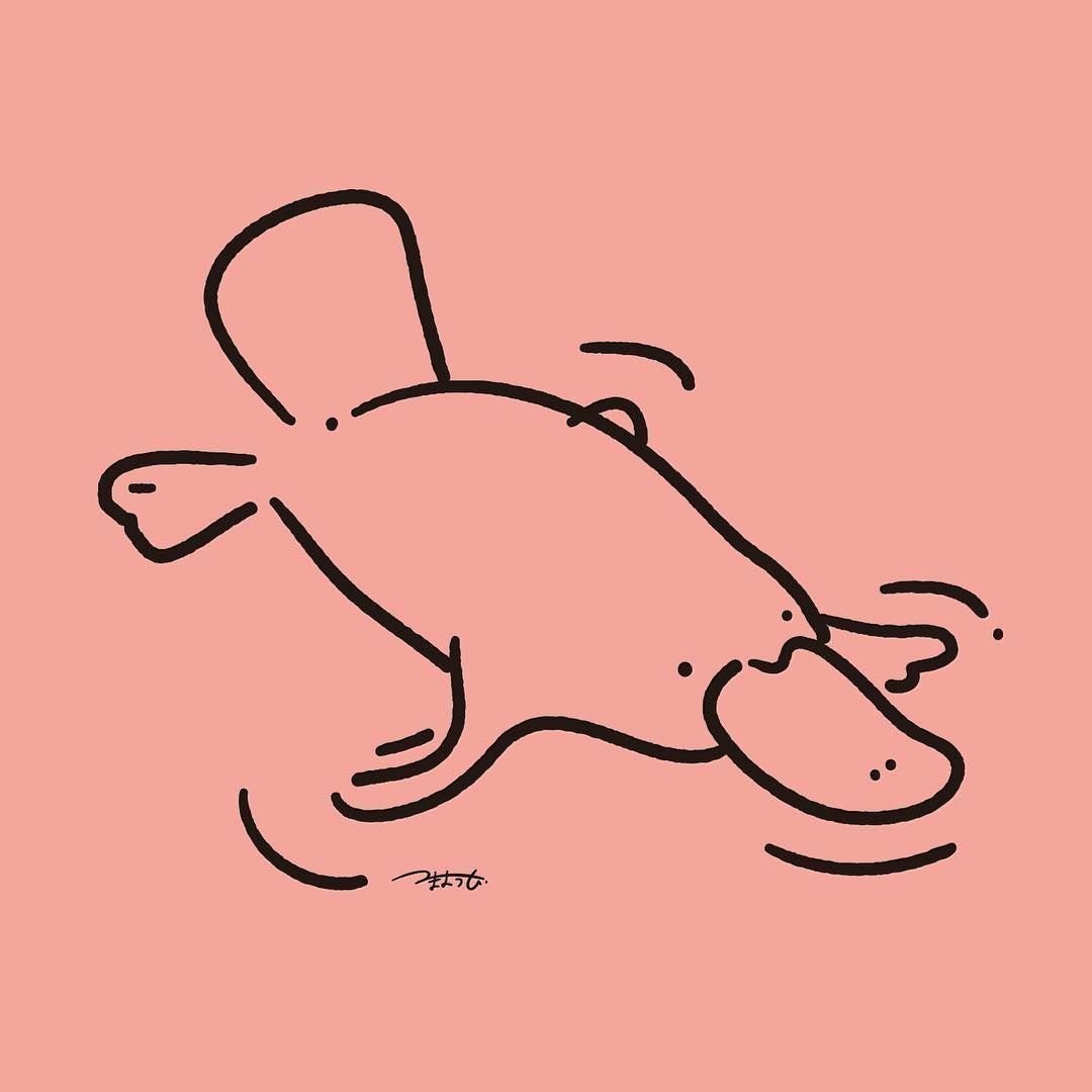 Утконос клипарт на прозрачном фоне