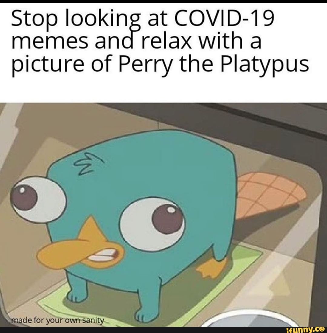 Утконос интернет магазин