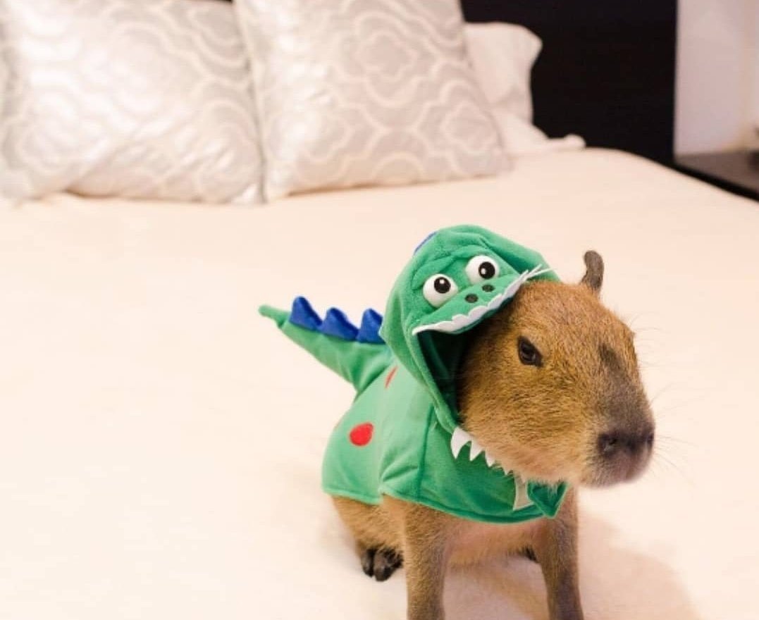 ФОТОЛУПЫ Валакаса