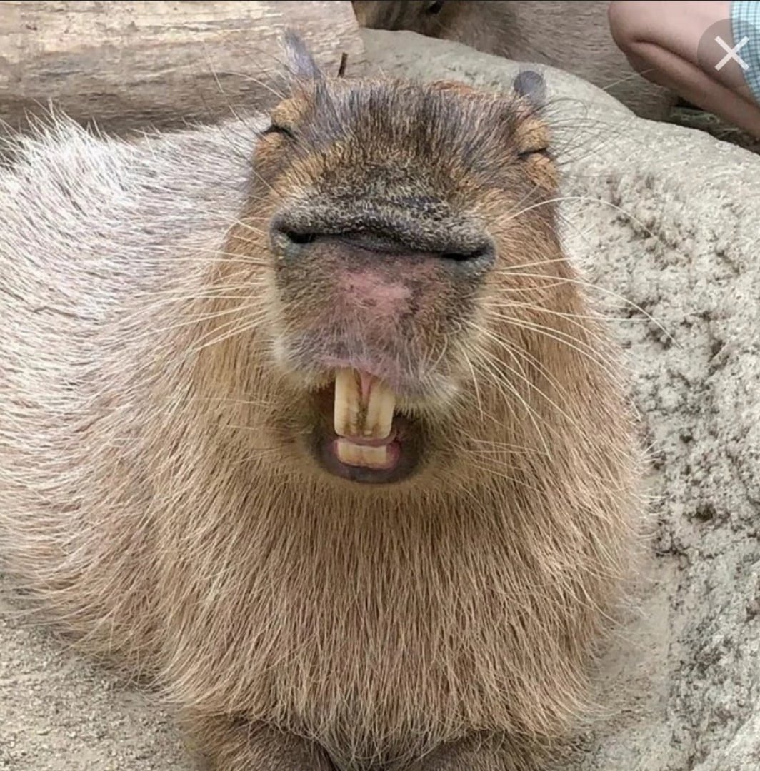 Тайшин Владислав Владимирович