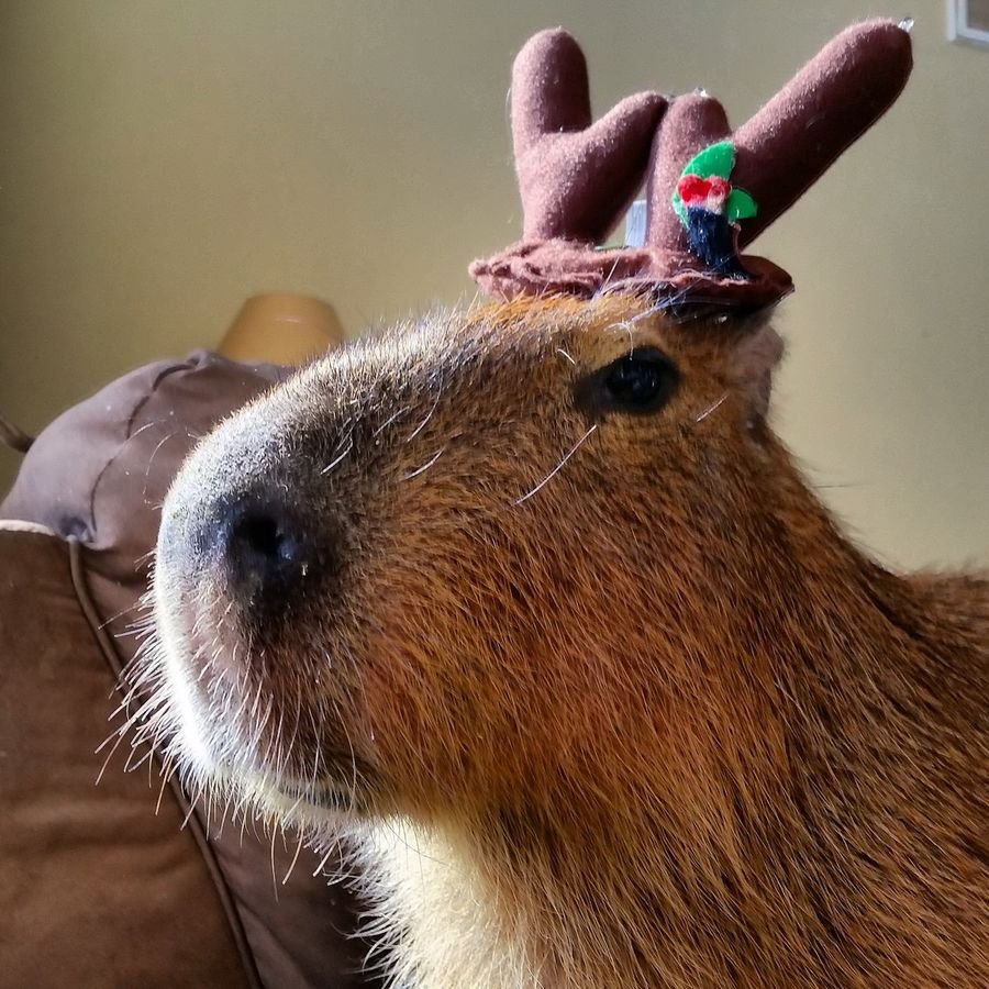 Schleich капибара