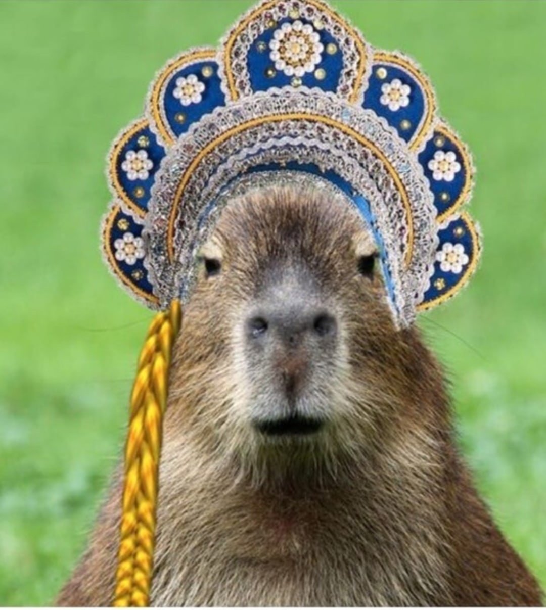 Новогодняя капибара арт