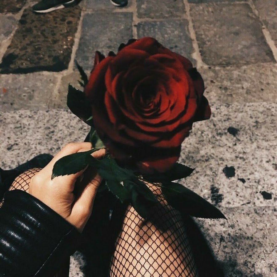 Башкина Юлия Дмитриевна