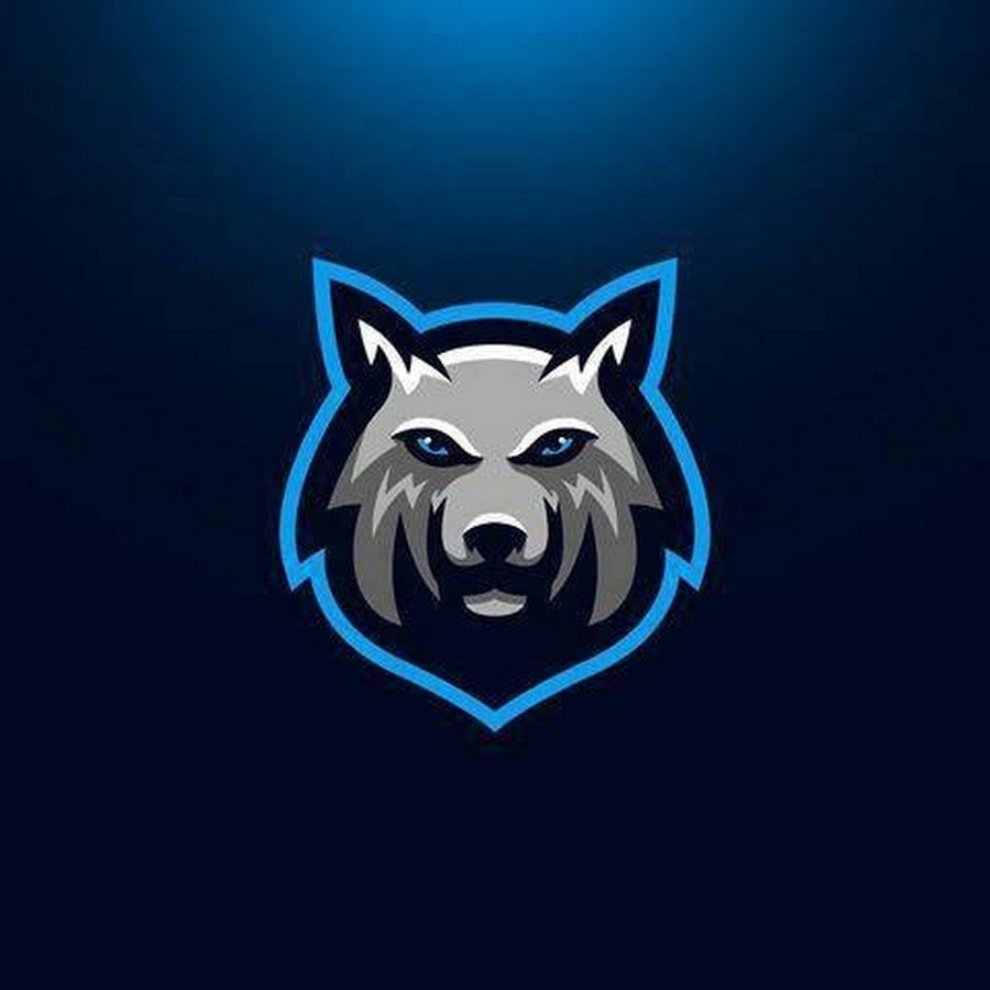 Енот на аву