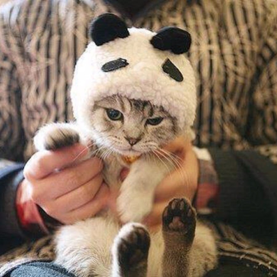 Смешной Патрик