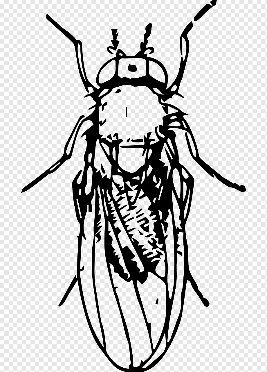 Профиль удален