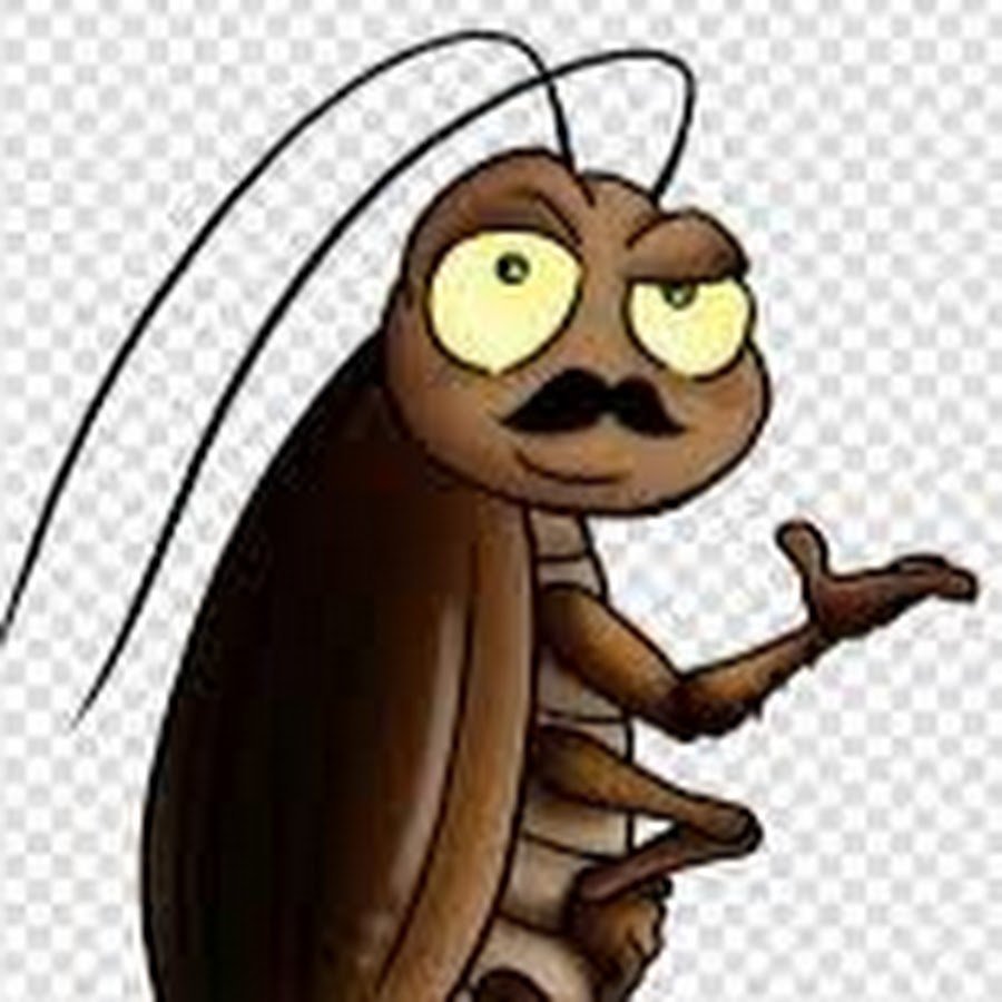 Прикольная Муха