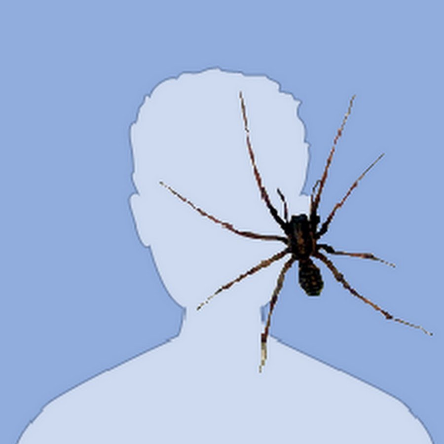 Аватарка с мухой