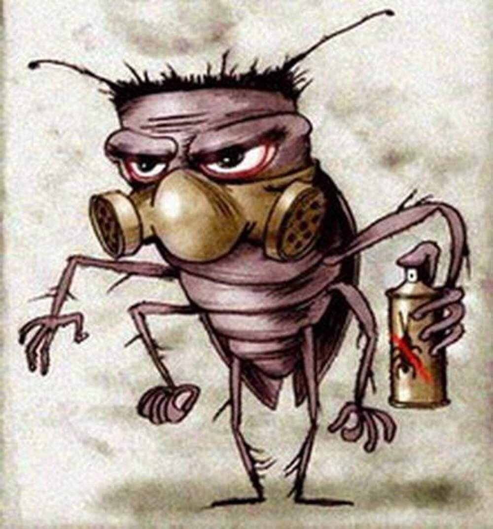 Веселый таракан