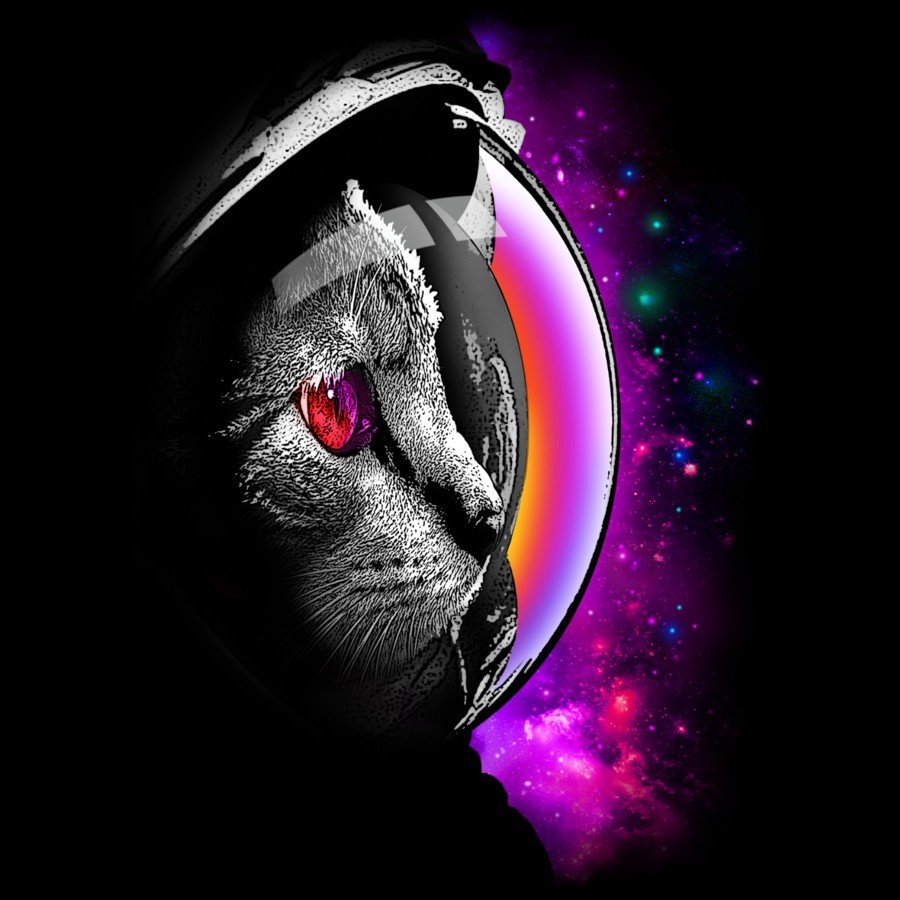 Кот космонавт