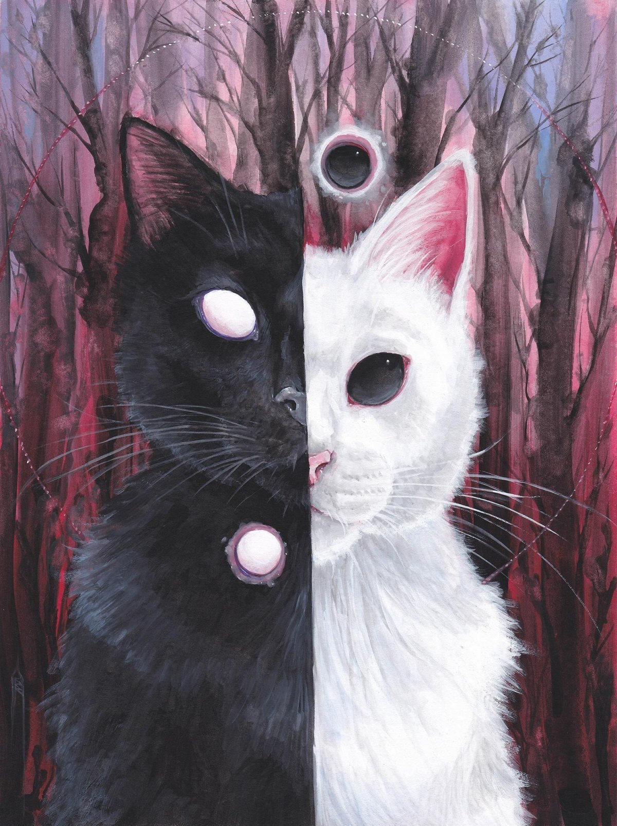 Кавайные котики любовь