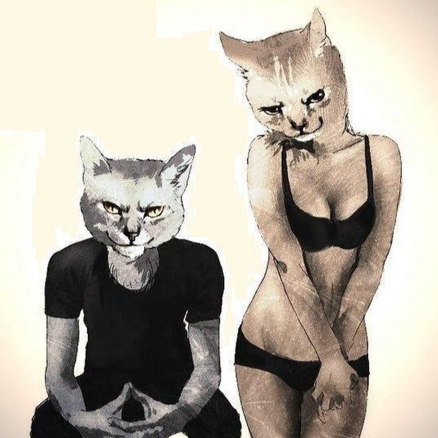 Котики любовь телеграмм