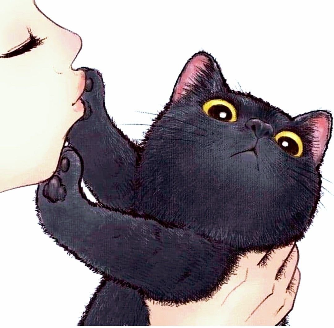 Парные авы котиков для вк