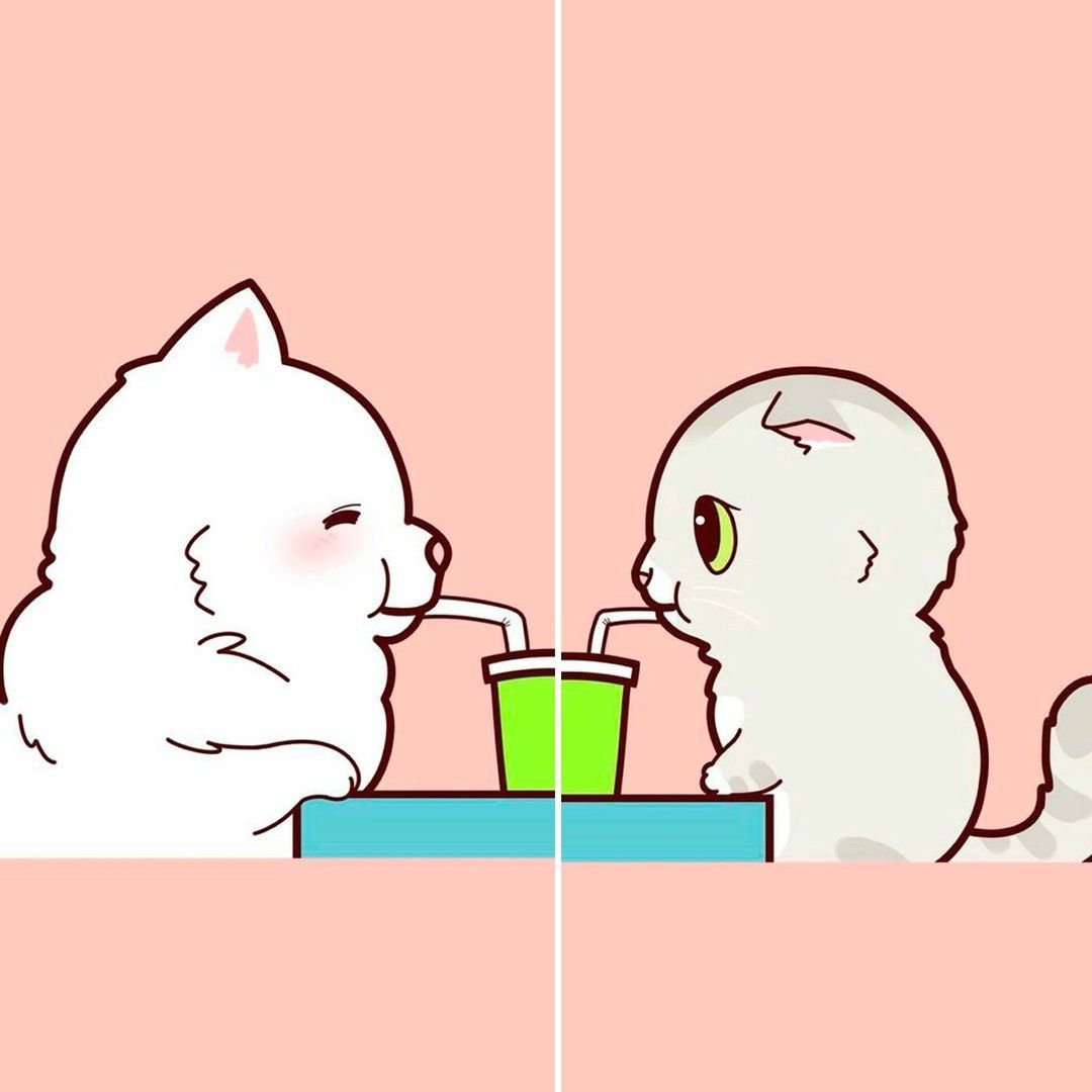 Кавайные котики любовь