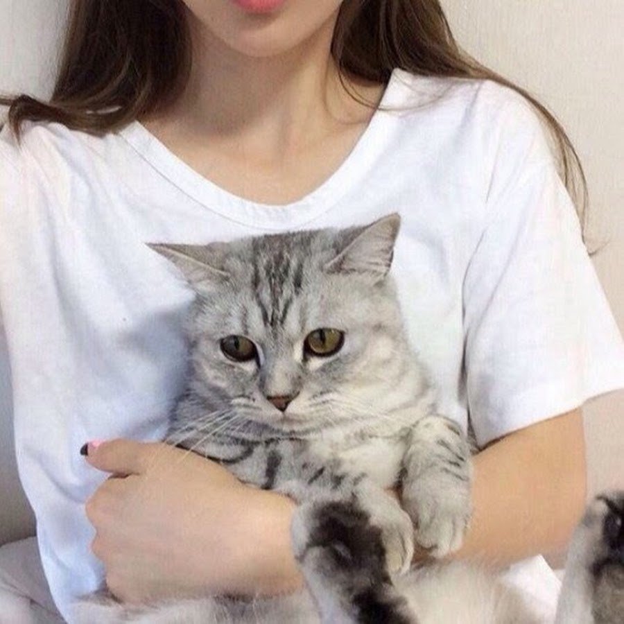 Котики с сердечками