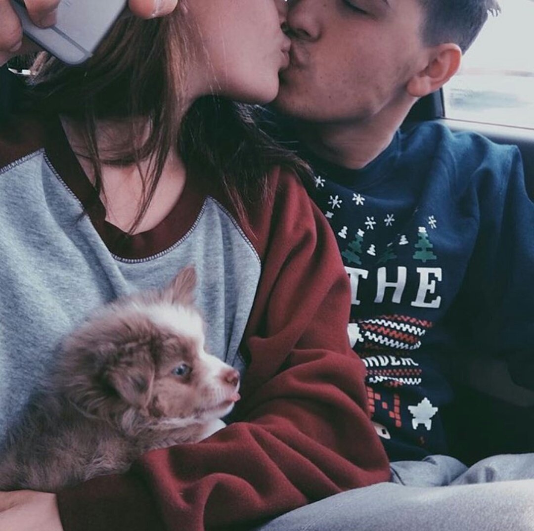 Мультяшные котики Эстетика