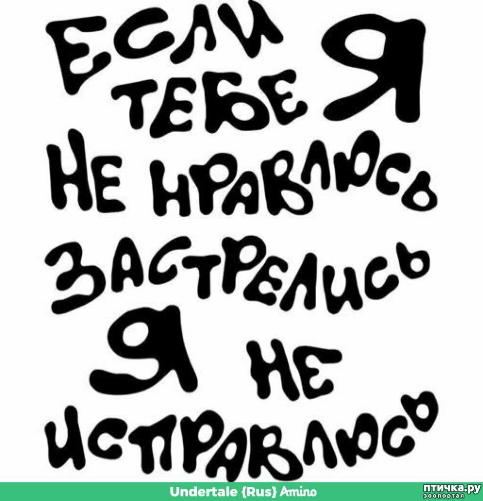 Красивые надписи на ватсап