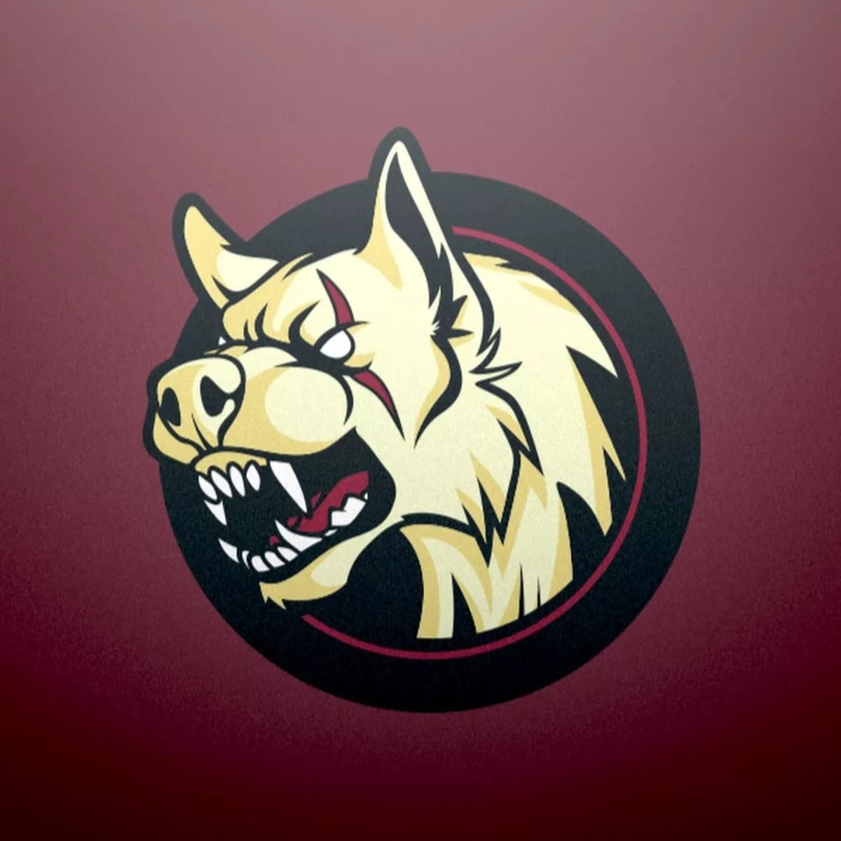 Аватарка делайта в кс