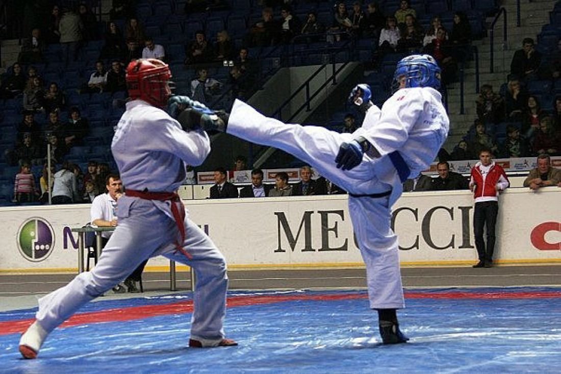 Карате иллюстрация