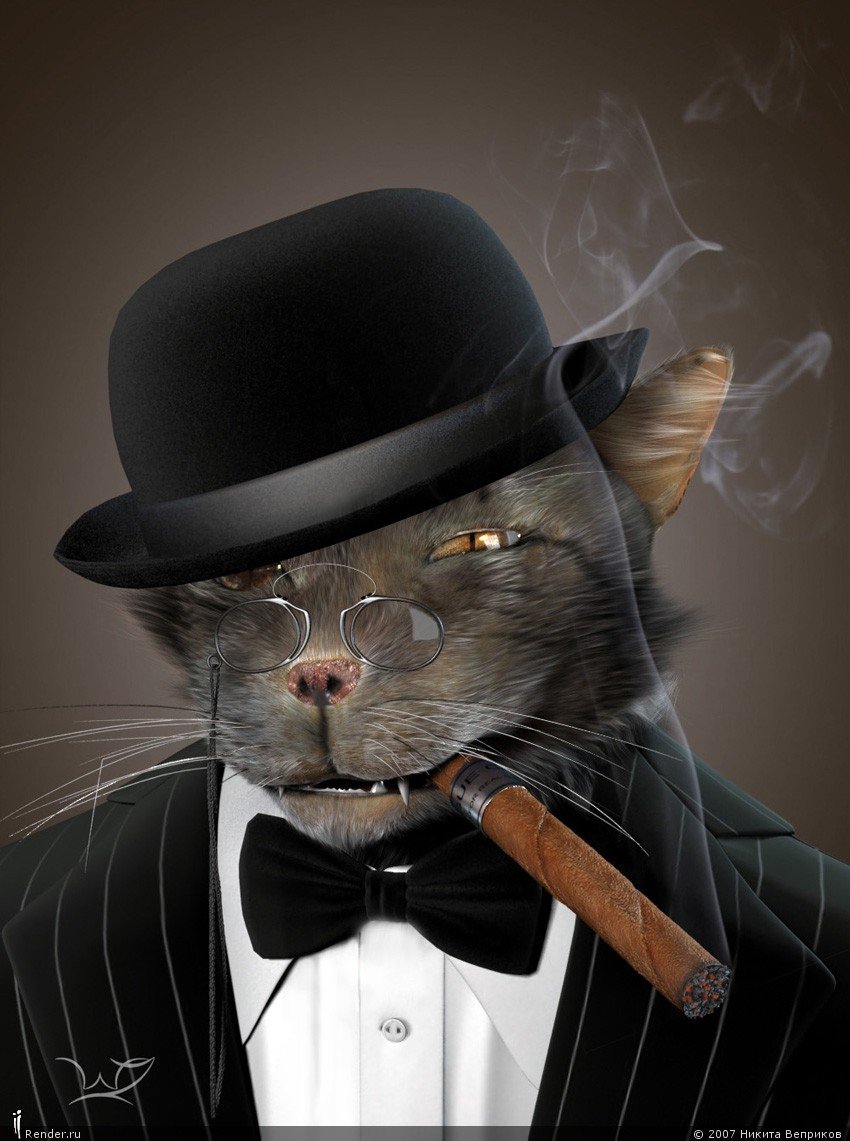 Богатая жизнь