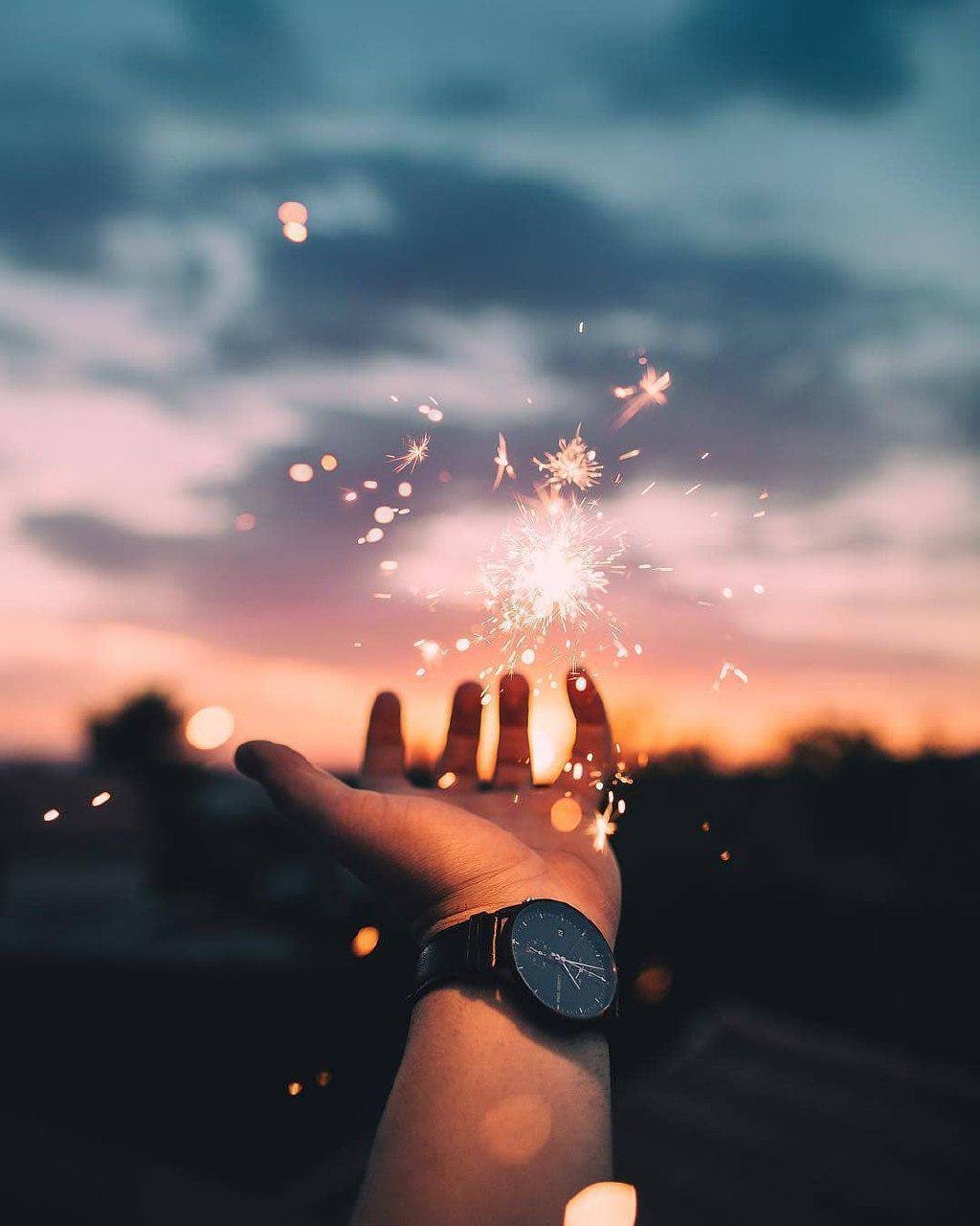 Кот с бабочкой на носу