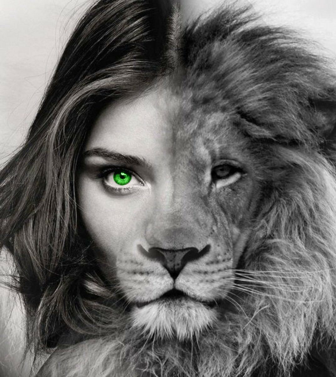 Лев половина морды