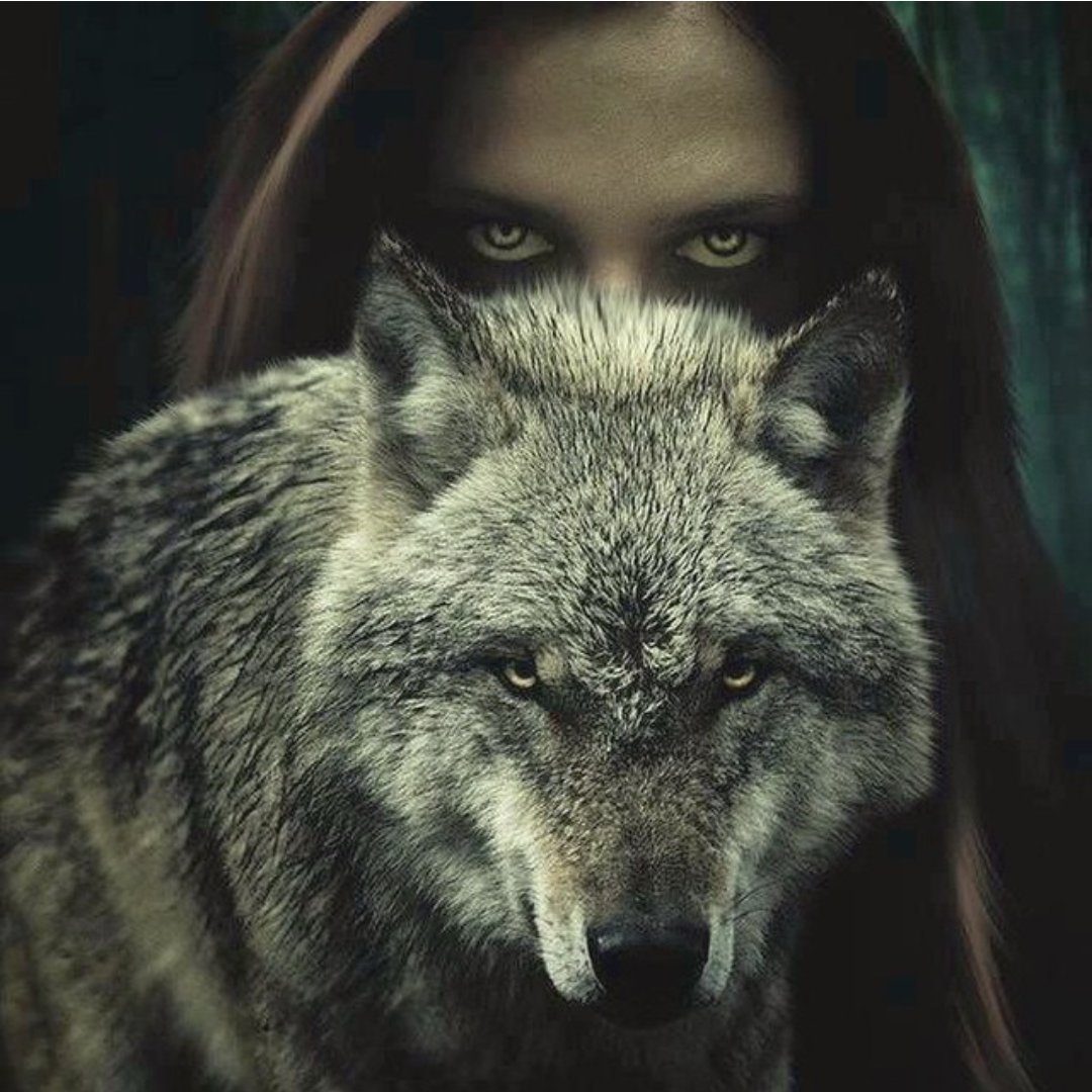 Волки фэнтези злые