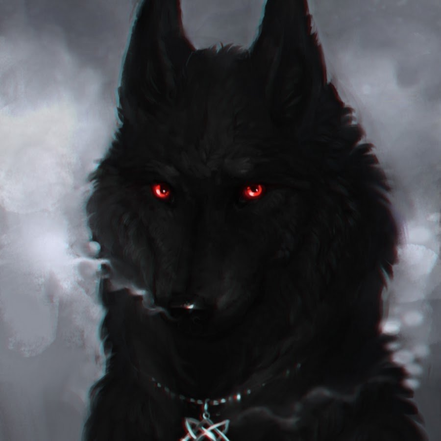 Черный волк